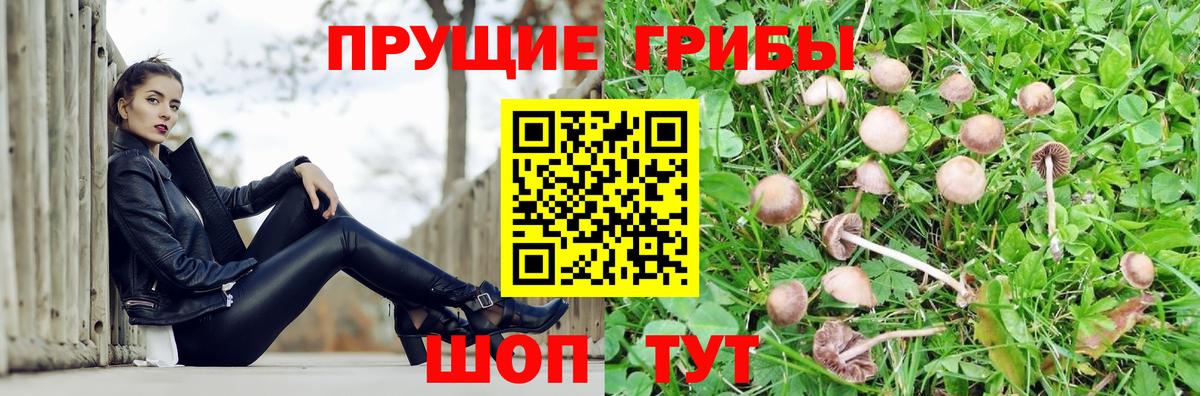 Псилоцибиновые грибы прущие грибы Переславль-Залесский